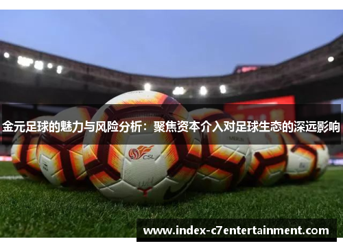 金元足球的魅力与风险分析：聚焦资本介入对足球生态的深远影响