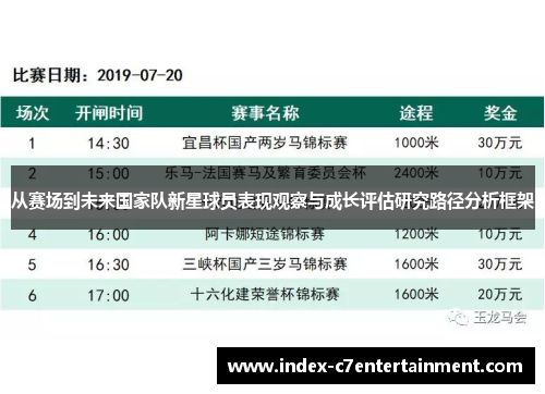 从赛场到未来国家队新星球员表现观察与成长评估研究路径分析框架