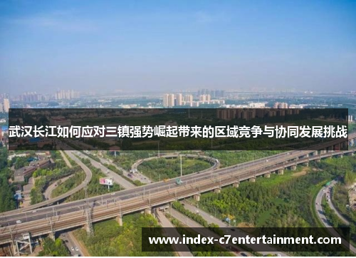 武汉长江如何应对三镇强势崛起带来的区域竞争与协同发展挑战