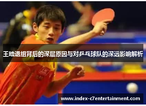 王皓退组背后的深层原因与对乒乓球队的深远影响解析 王皓退组背后的深层原因与对乒乓球队的深远影响解析