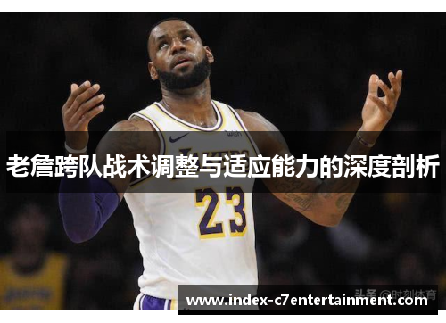 老詹跨队战术调整与适应能力的深度剖析